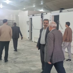 دیدار با پرسنل شرکت های زیر مجموعه هلدینگ